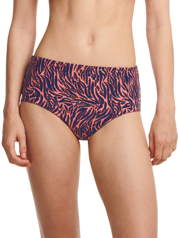 Femilet By Chantelle Tidra Bikinitrosa Full Brief