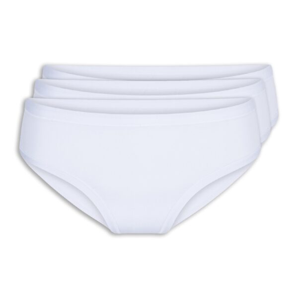 Lingadore Brief 3-pack Bodyfresh