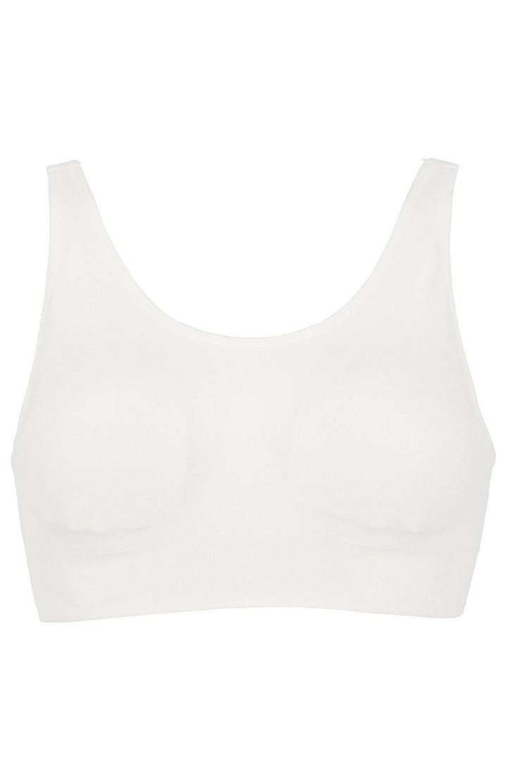 37866-03_Fram