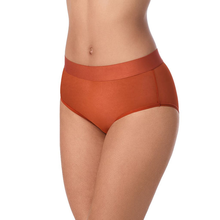 DKNY Sheers Brief
