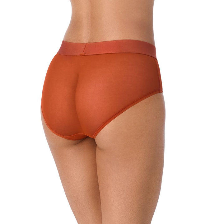 DKNY Sheers Brief